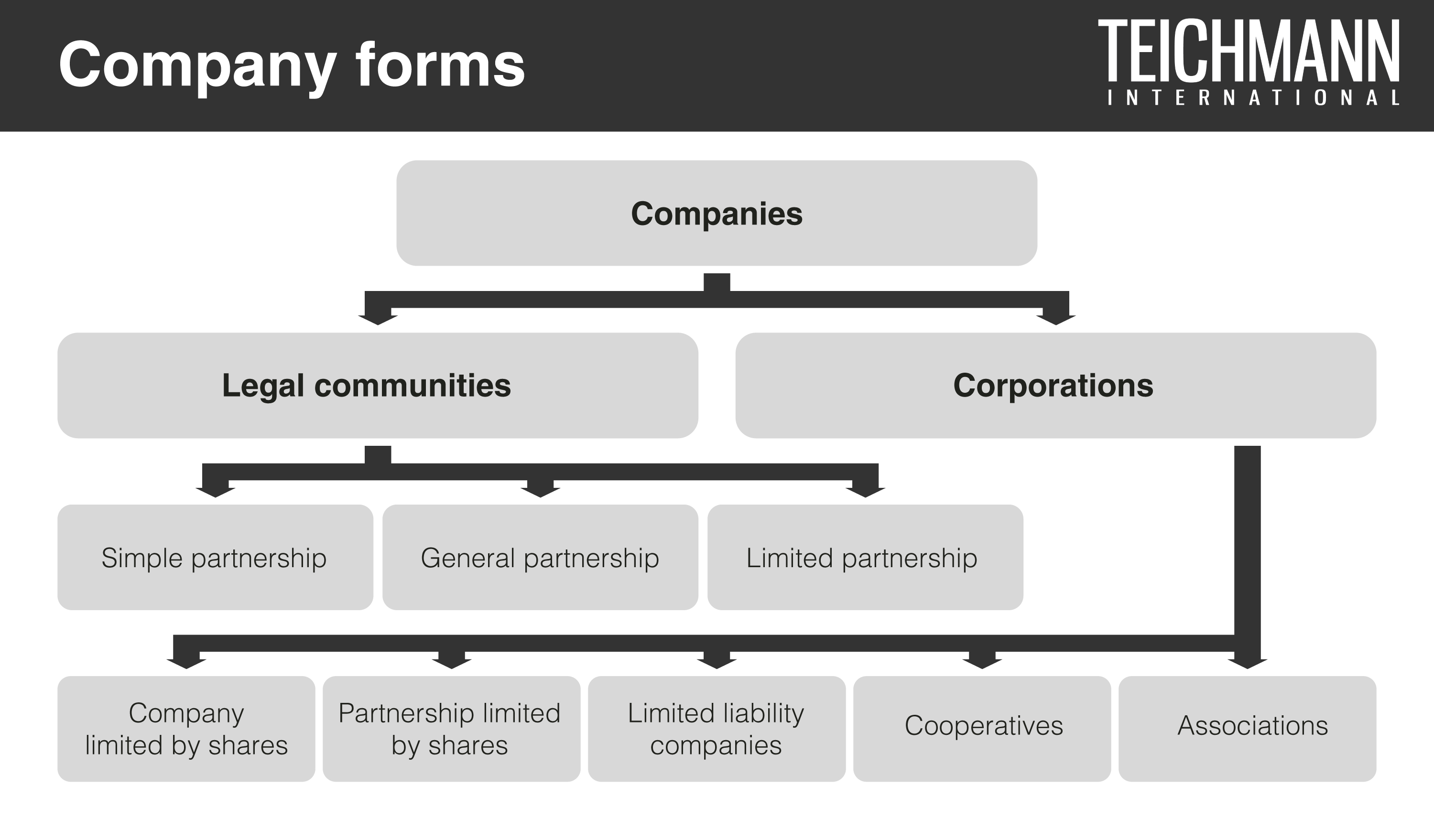 Company Forms