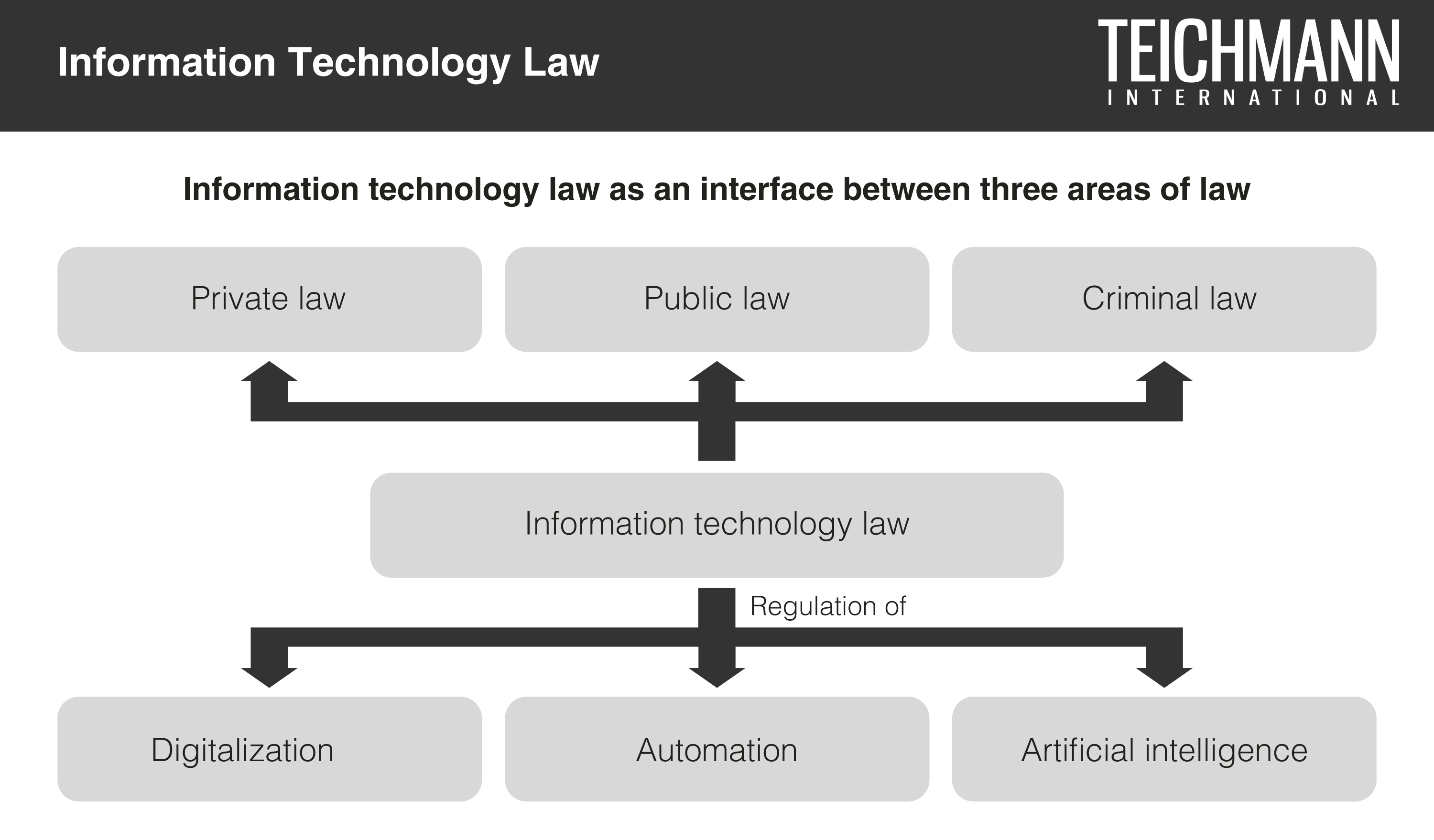 Information Technology Law