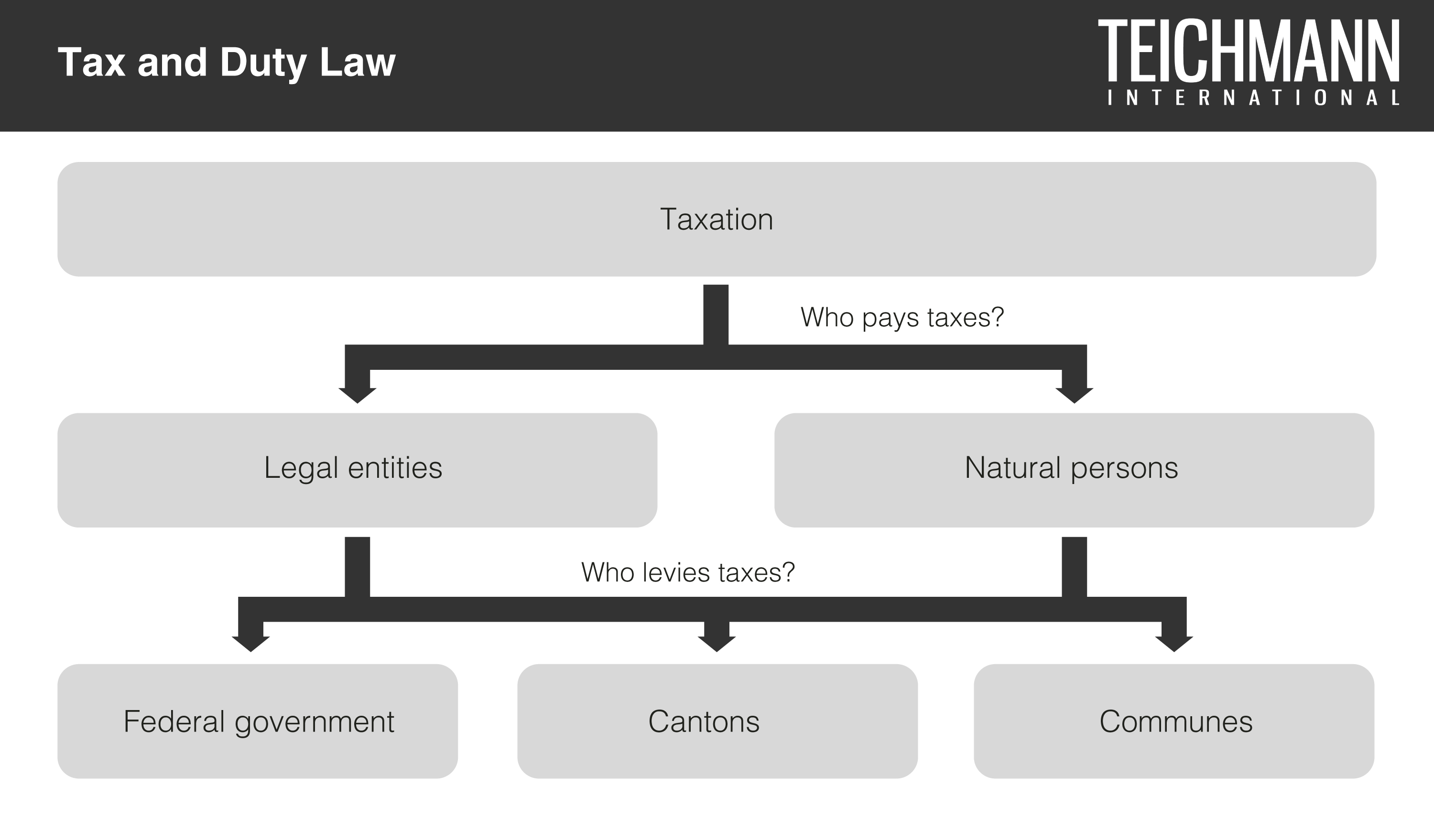 Tax and Duty Law
